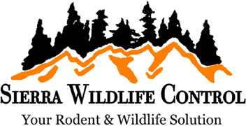 Sierra Wildlife Control